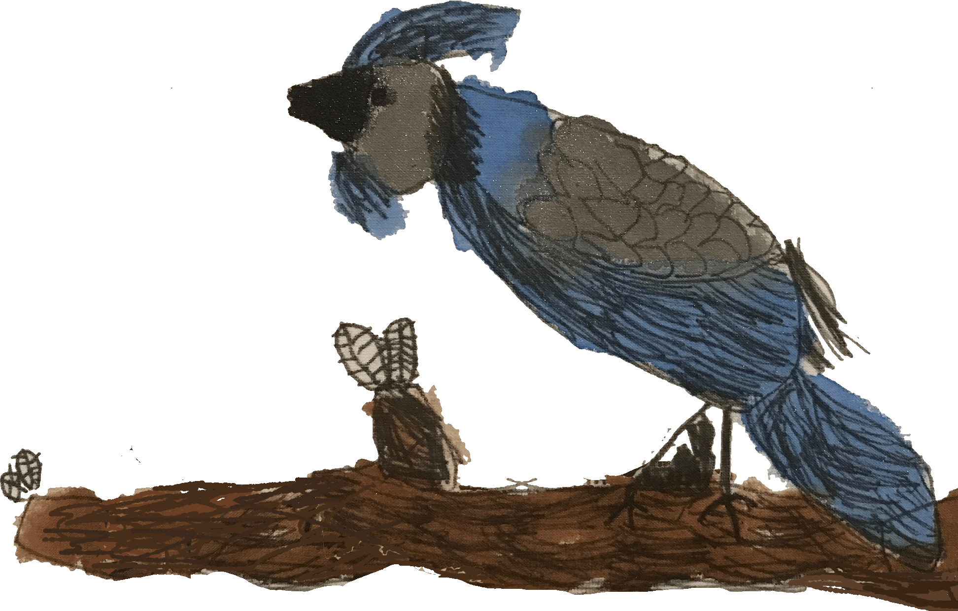 blue bird sitting on limb