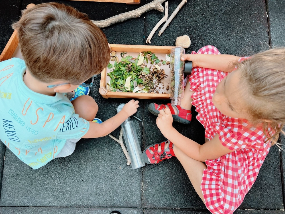 childring plaing with dried plants on a roof